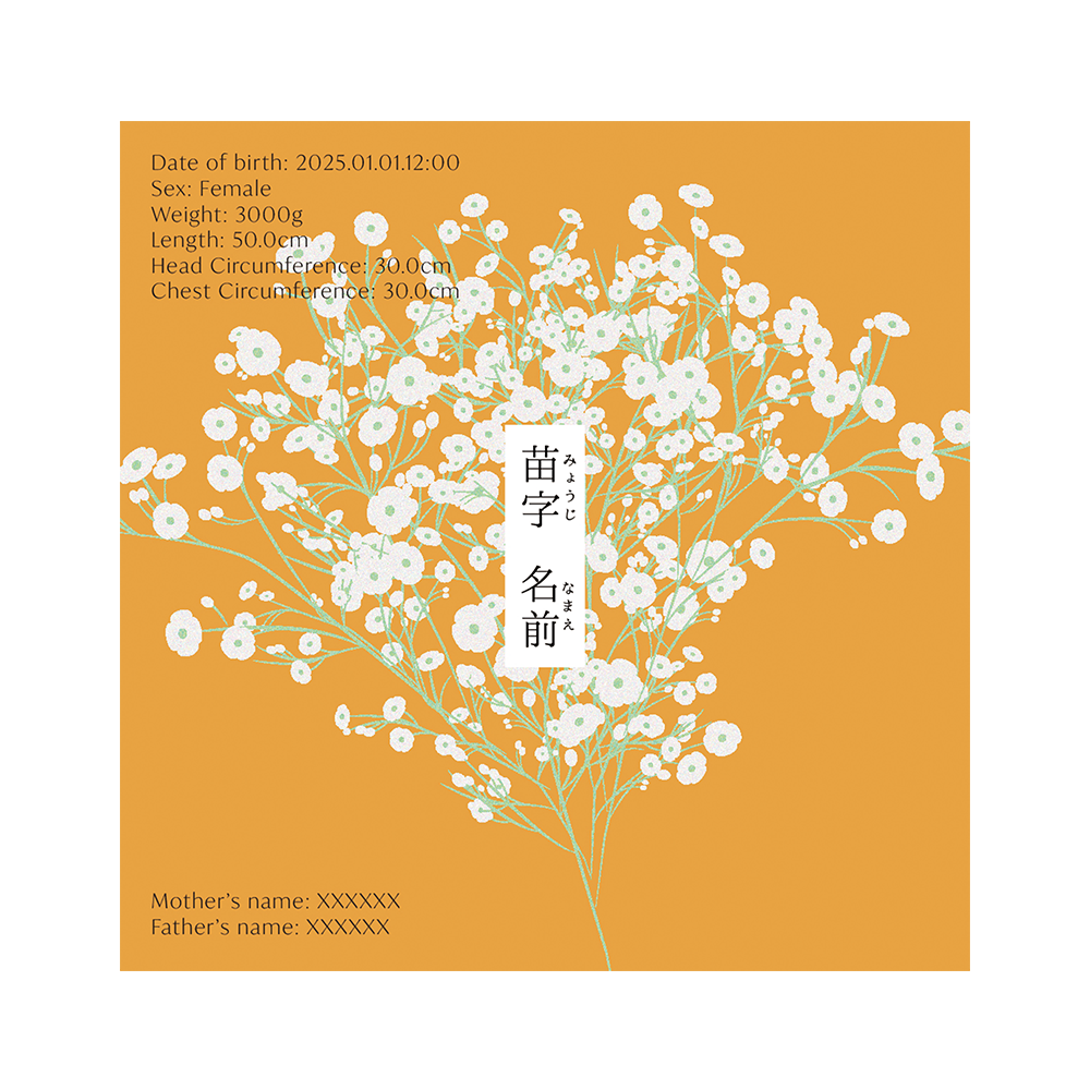 BABY POSTER : Baby’s Breath