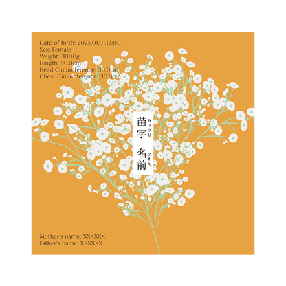 BABY POSTER : Baby’s Breath