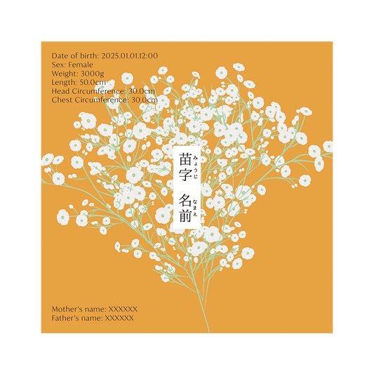 BABY POSTER : Baby’s Breath