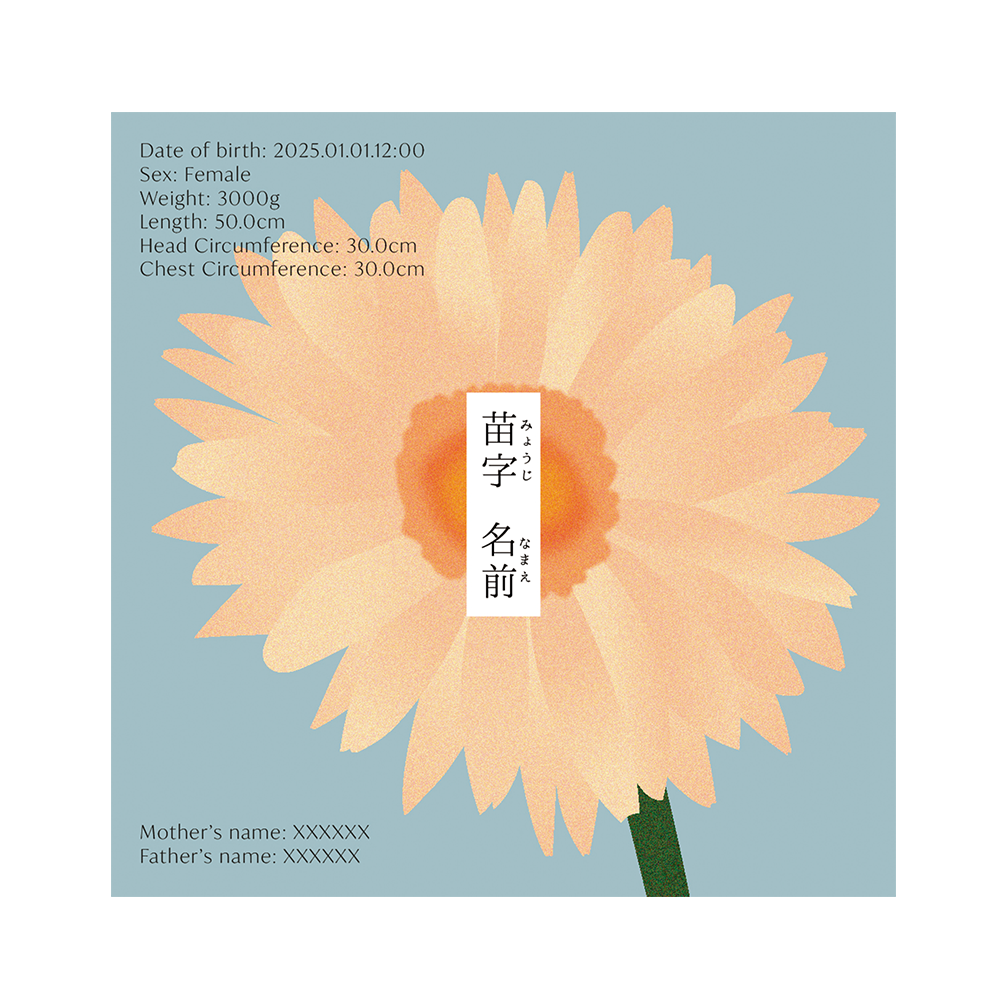 BABY POSTER : Gerbera