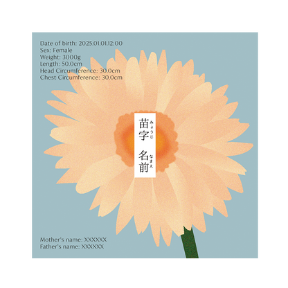 BABY POSTER : Gerbera