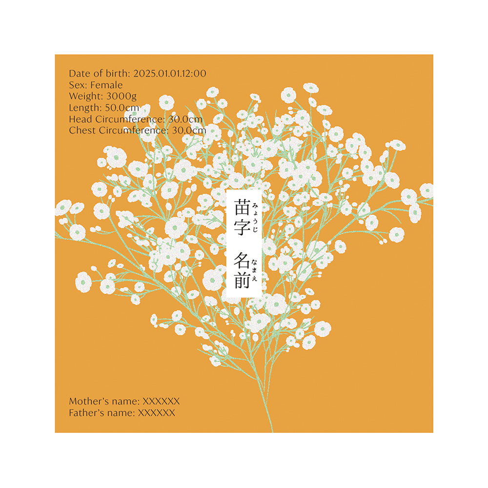 BABY POSTER : Baby’s Breath