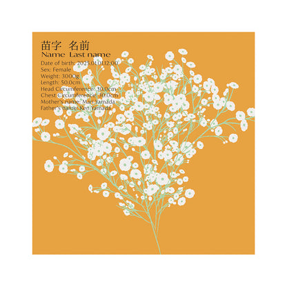 BABY POSTER : Baby’s Breath