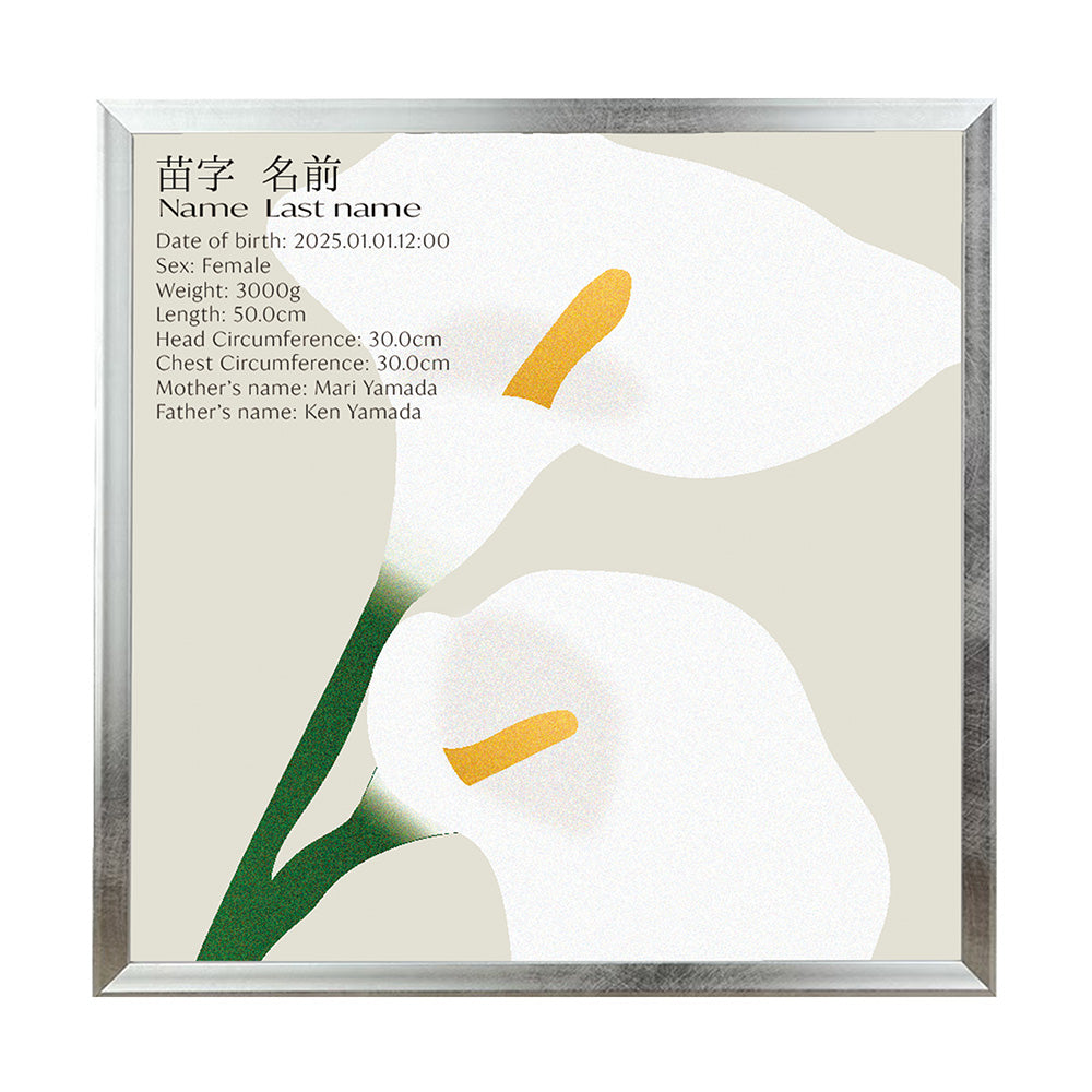 BABY POSTER : Calla Lily