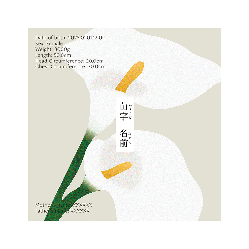 BABY POSTER : Calla Lily