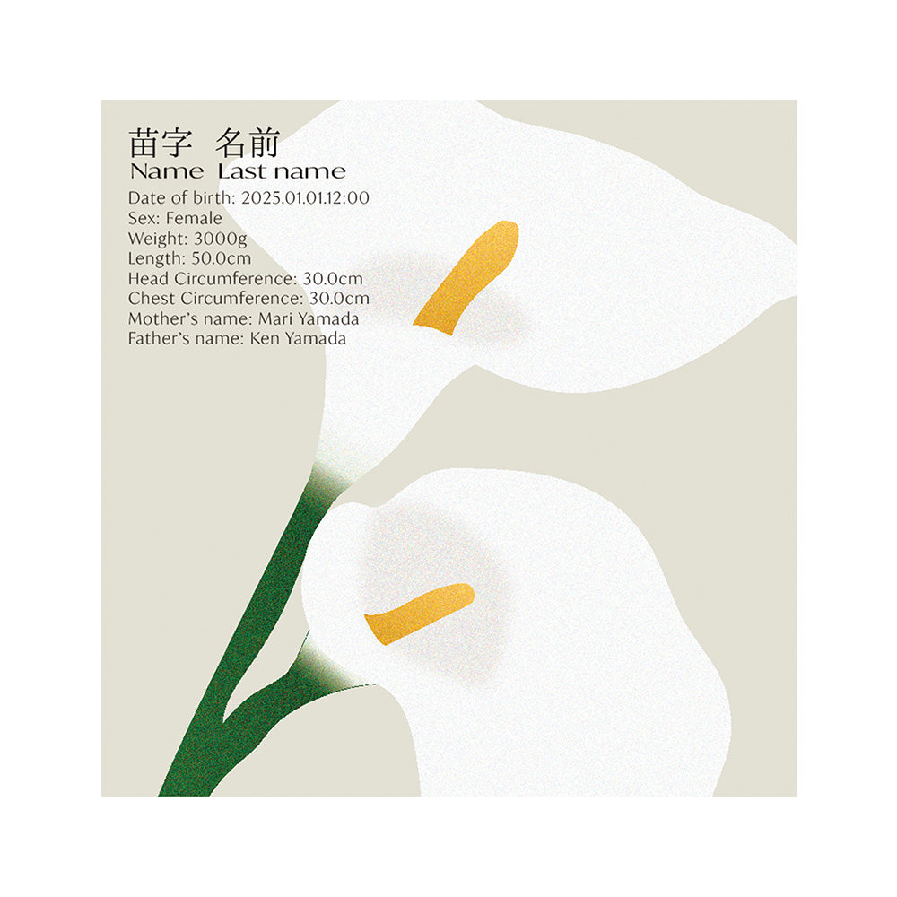 BABY POSTER : Calla Lily