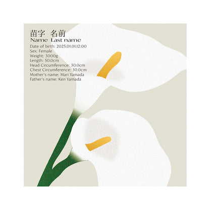 BABY POSTER : Calla Lily