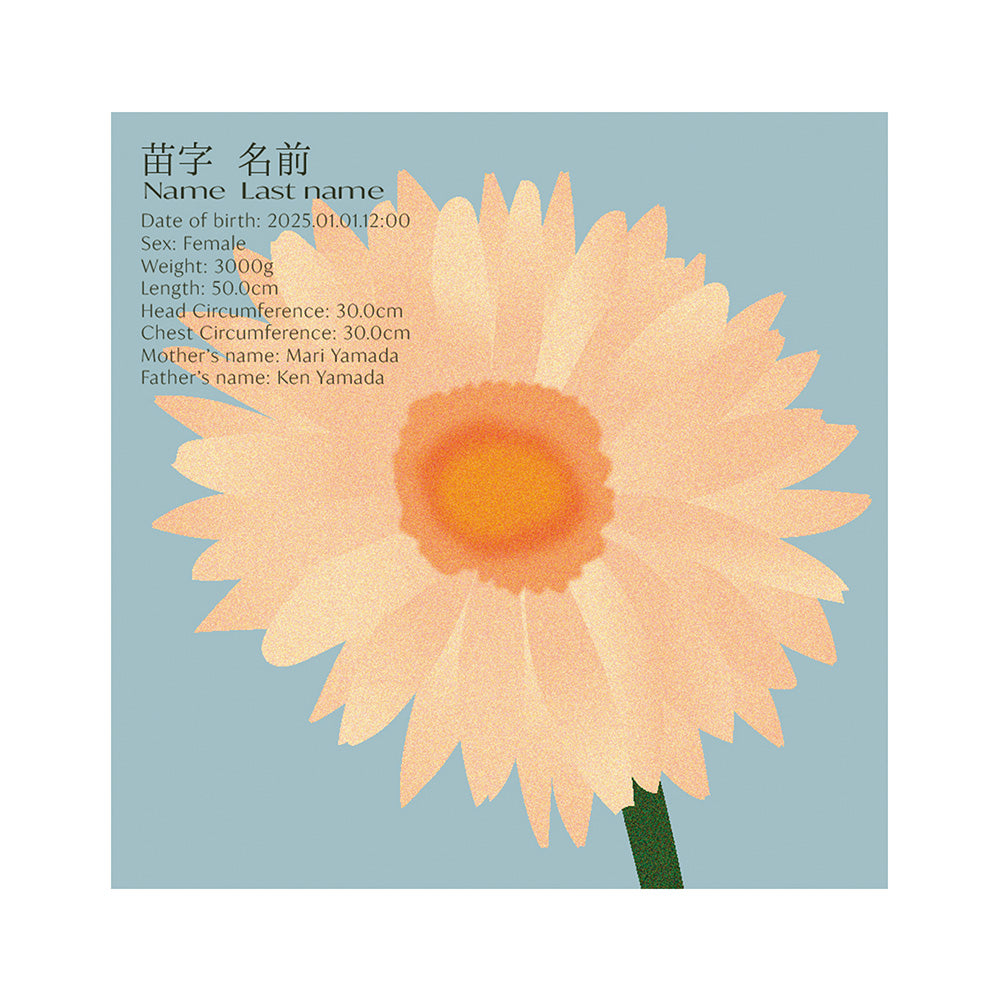 BABY POSTER : Gerbera