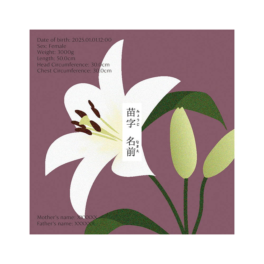 BABY POSTER : Lily