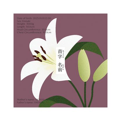 BABY POSTER : Lily