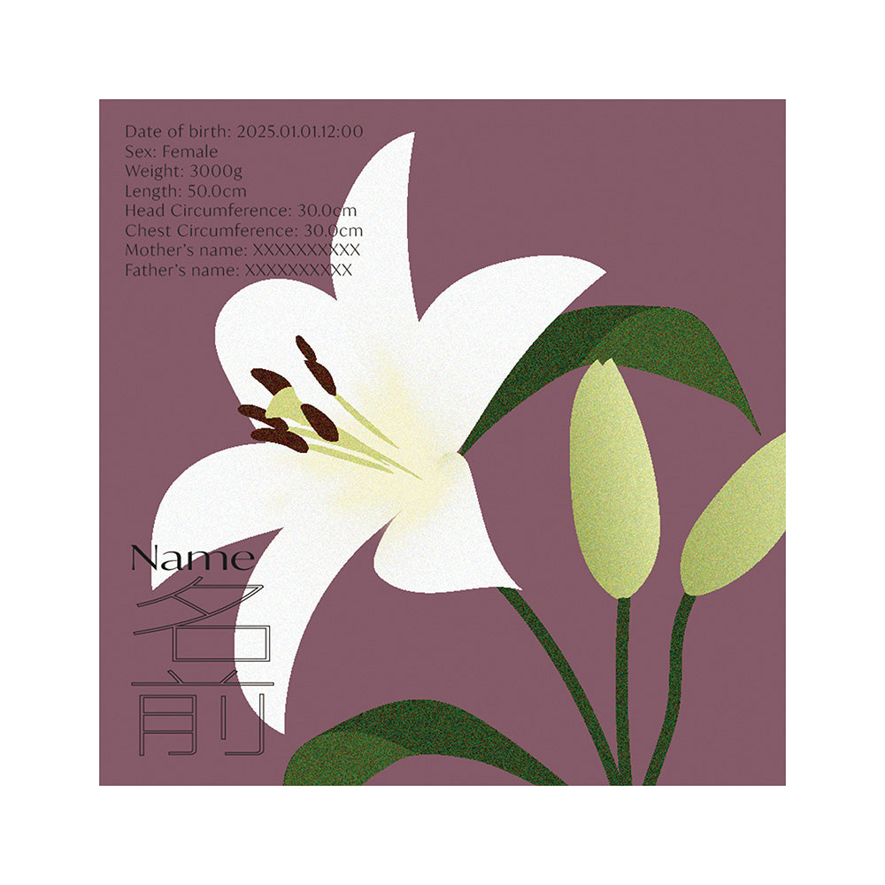 BABY POSTER : Lily