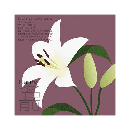 BABY POSTER : Lily