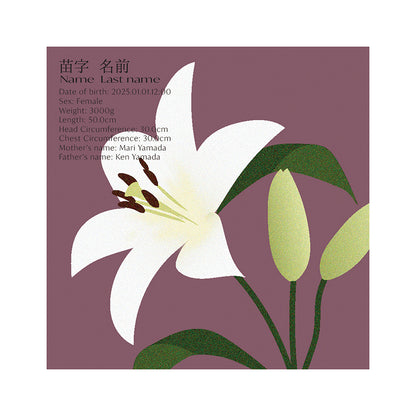 BABY POSTER : Lily